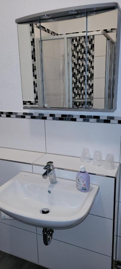 Zentral Und Ruhig In Auerbach Daire Auerbach  Dış mekan fotoğraf